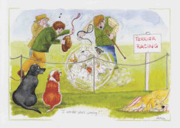 D145 - Terrier Racing