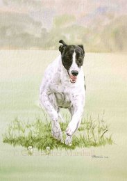 DGH - Greyhound