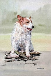 DJR3 - Jack Russell
