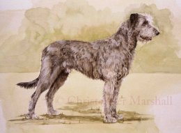 DWH - Wolfhound