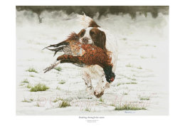 Dashing through the snow