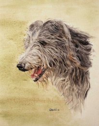 DDH - Deerhound