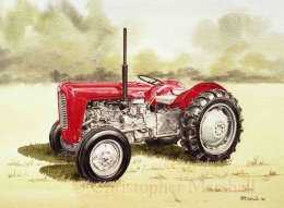 TMF - Massey Ferguson 35