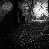 A return to the old hall