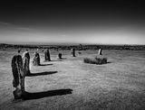 The Hurlers