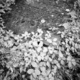 Saddleworth - murder most horrid