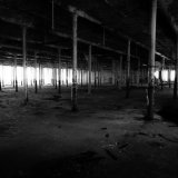 The Iron Forest 11