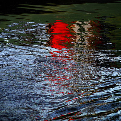 Fleeting Moments I
