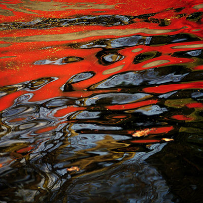 Fleeting Moments VI