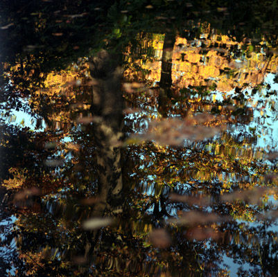 Stille II