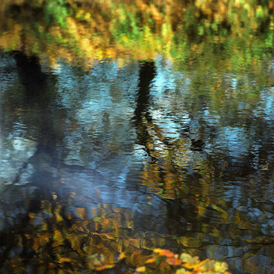 Stille X