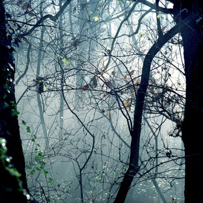 Untitled II