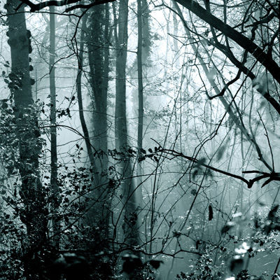 Untitled I