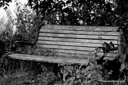 OLD BENCH