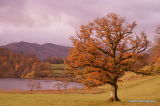 loughrigg tarn  ambleside ,lake district