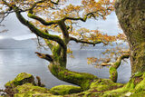 Looking across Derwent Water, Cumbria, England
