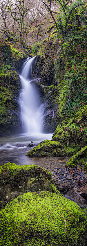 Dol Goch Gorge, Sowdonia, Wales.