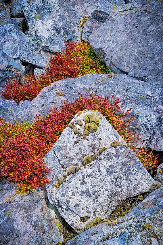 Penwyllt Limestone, Brecon Beacons, Wales.