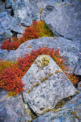 Penwyllt Limestone, Brecon Beacons, Wales.