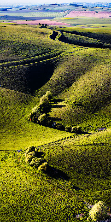 Pewsey Downs, Wiltshire, England.
