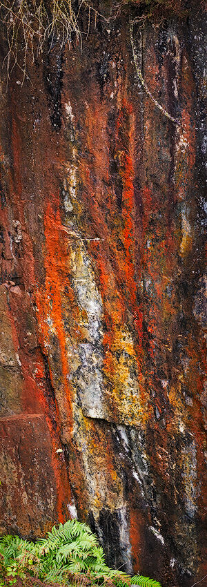 Stained Quarry Wall, Lake District, England.