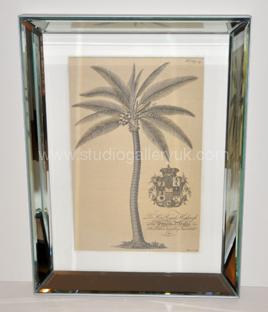 'Black & White Palm II'