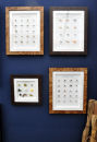 Framed Fly Sets