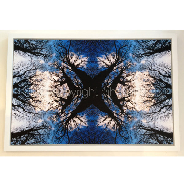 'Everlasting Ents' AP