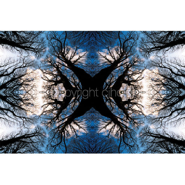 'Everlasting Ents' (TPAT053)