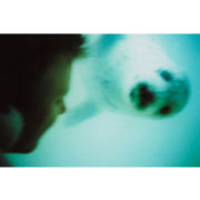 'Face to Face' (PIC027)