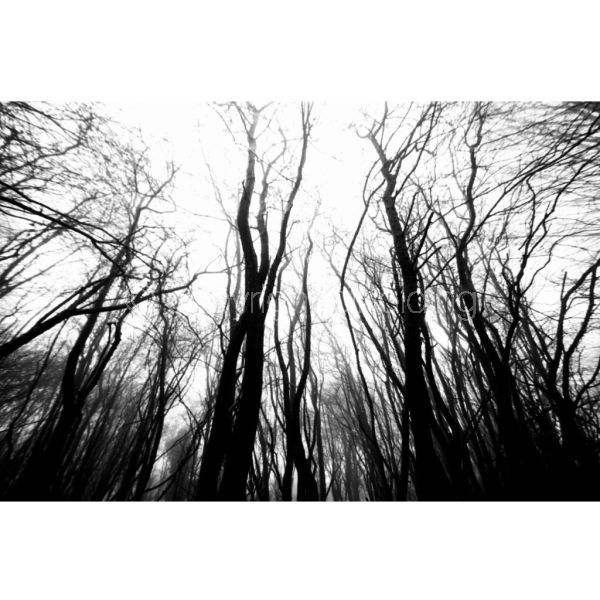 'Figure in the Fog' (PIC029)