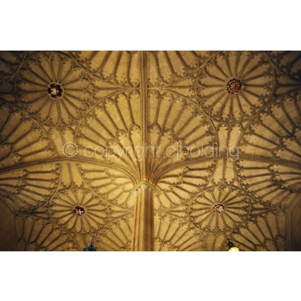 'Fan Vaulting' (PIC031)