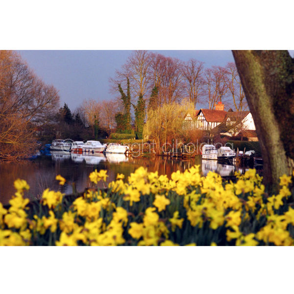 'April Showers' (PIC061)