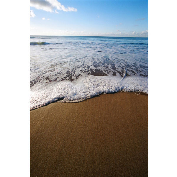 'Tidal Retreat' (PIC064)