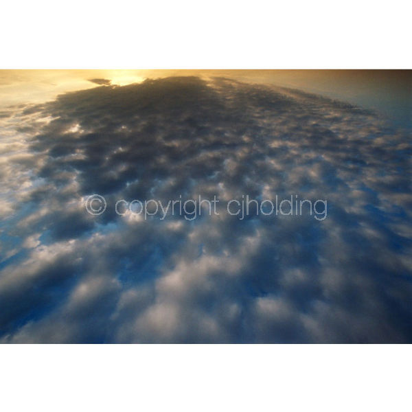 'Cotton Sky' (PIC066)