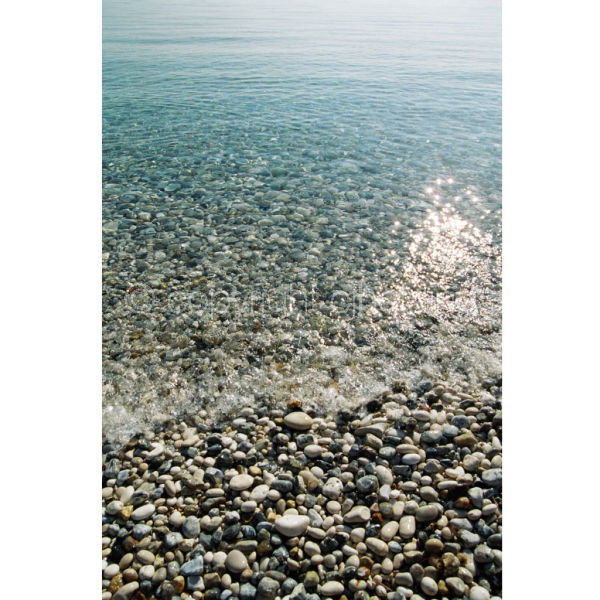 'Morning Twinkle' (PIC075)