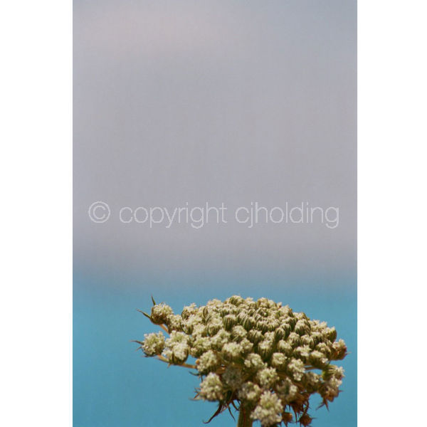 'Above Myrtos' (PIC084)