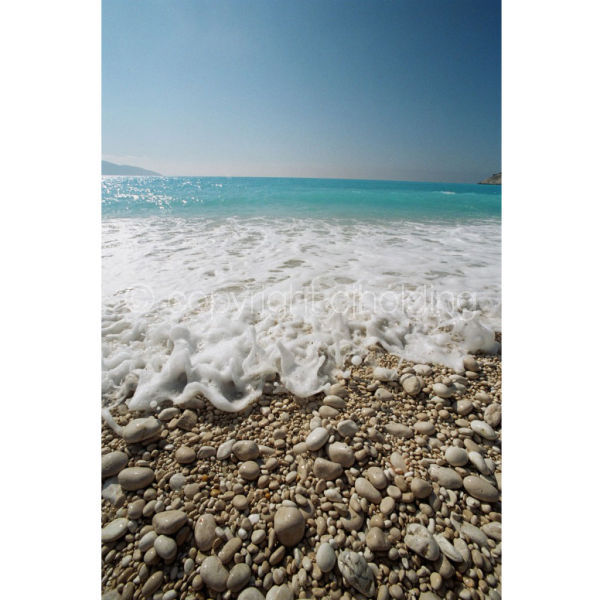 'Bouncing into Shore' (PIC088)