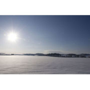 'Snowscape' (PIC091)