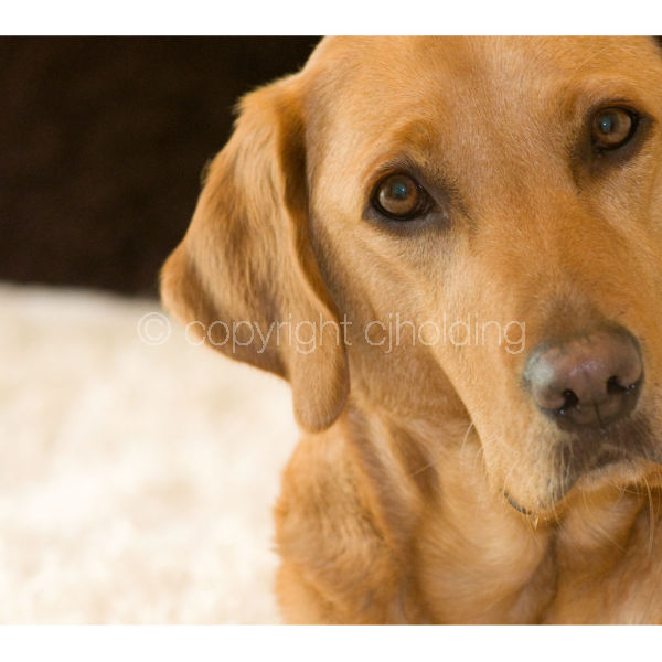 'You Talking To Me?' (R002)