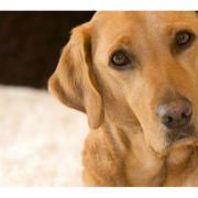 'You Talking To Me?' (R002)