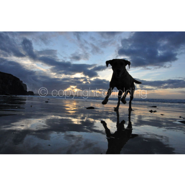 'Watergate Walkies' (R007)