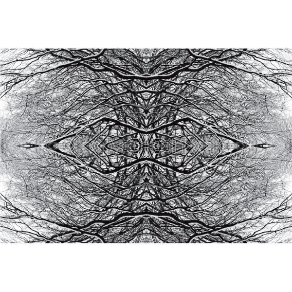 'Branches in the Snow' (SPAT015)