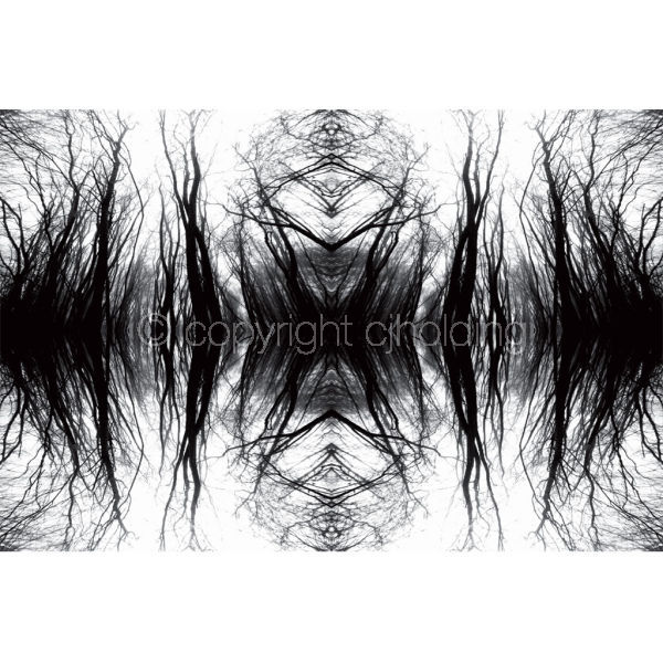 'Figure in the Fog' (TPAT029)