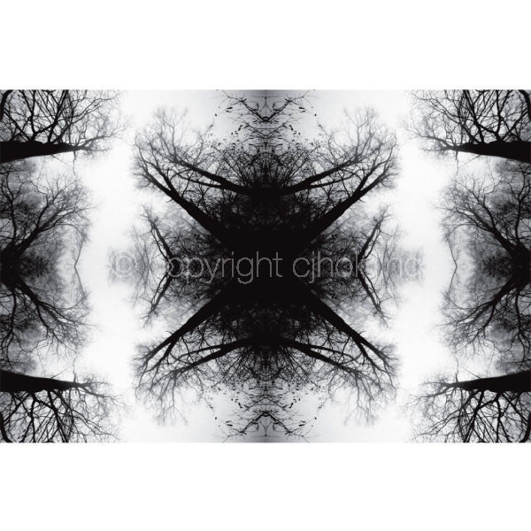 'Fading into the Fog' (TPAT028)