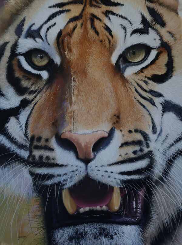'The Stare' Pastel on Paper