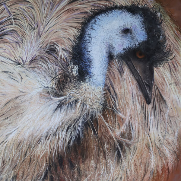 'Emu Ballet' Pastel on Paper