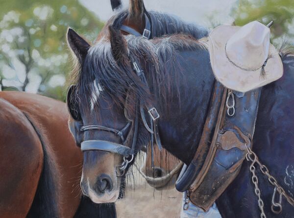 'Im Not A Hat Stand!' Pastel on Paper