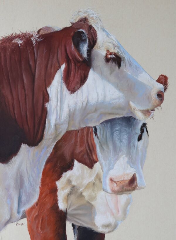 'Moove Over' Pastel on Paper