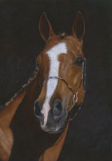 ' A Passion for Amethyst'